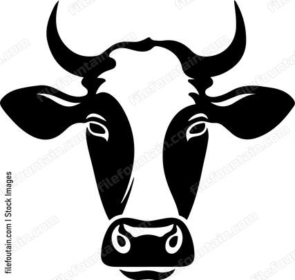 Dairy Cow Head