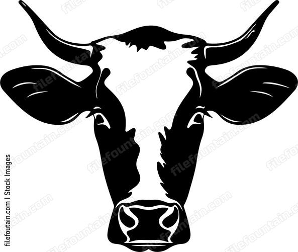 Dairy Cow Head