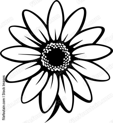 Daisy Flower