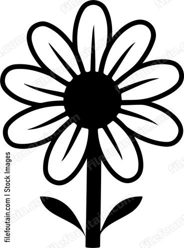 Daisy Flower