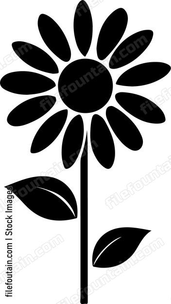 Daisy Flower