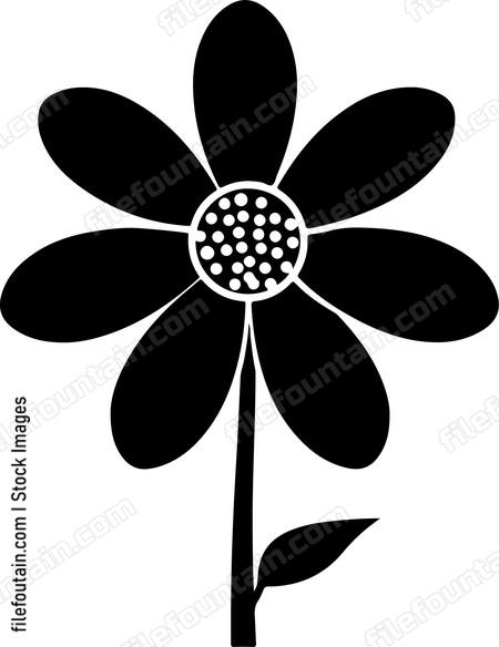 Daisy Flower