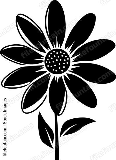 Daisy Flower