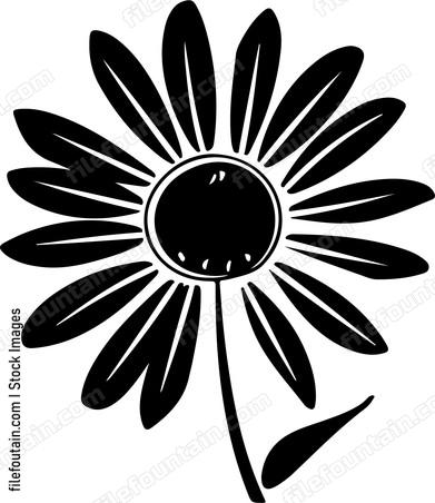 Daisy Flower