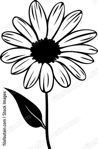 Daisy Flower