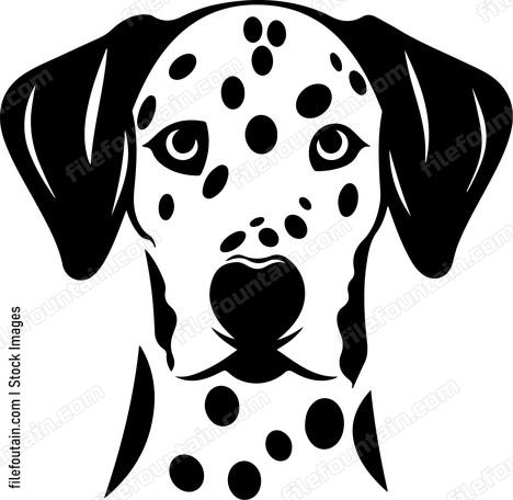 Dalmatian