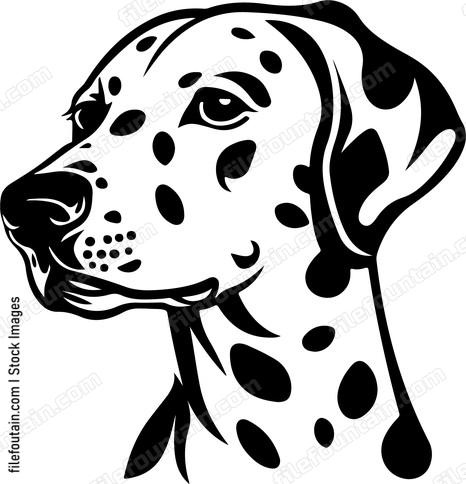Dalmatian