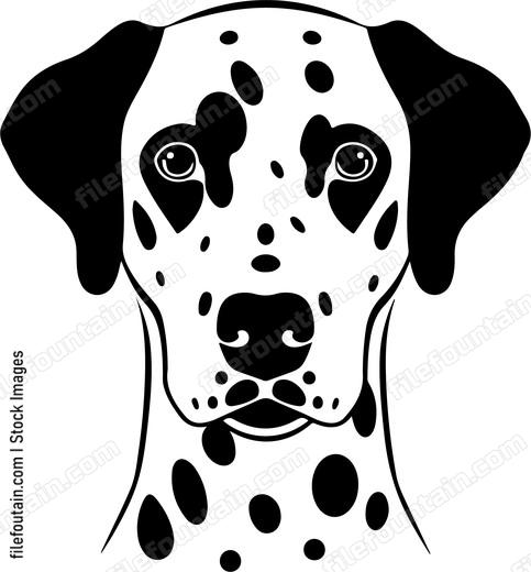 Dalmatian