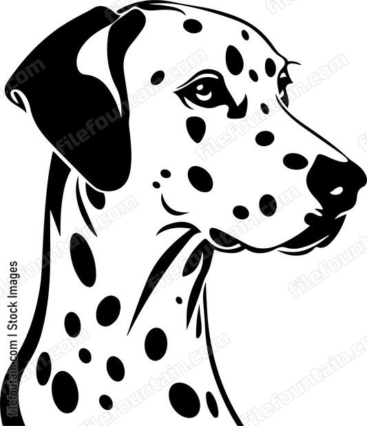 Dalmatian