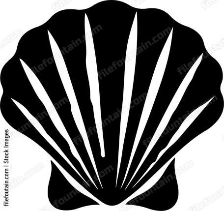 Decorative Sea Shell