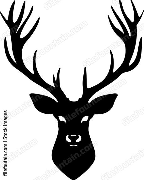 Deer Head