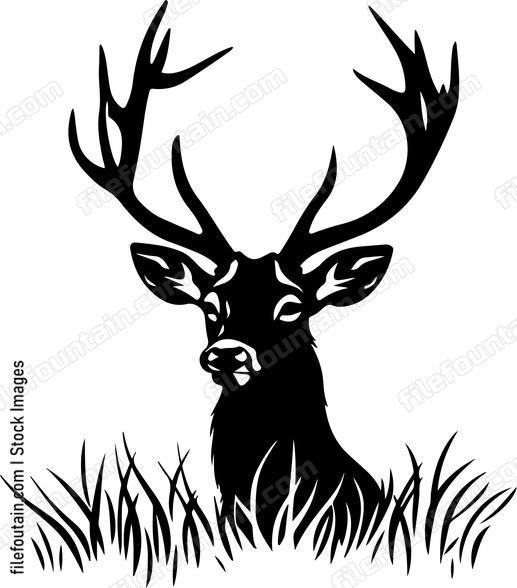 Deer Hunting