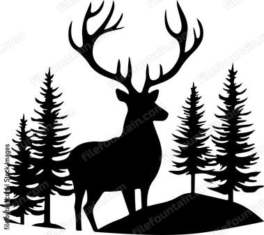 Deer In Forest