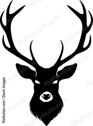 Deer Stag