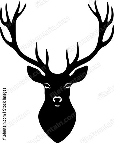 Deer Stag