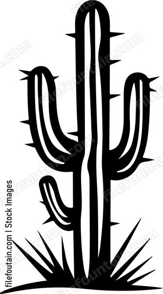 Desert Cactus