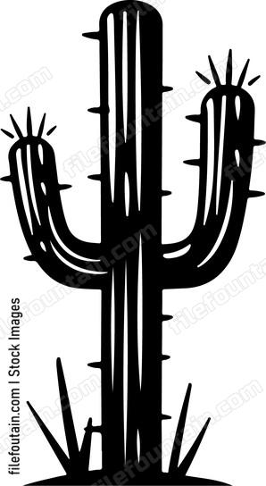 Desert Cactus