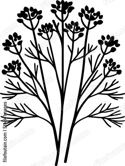 Dill Bundle
