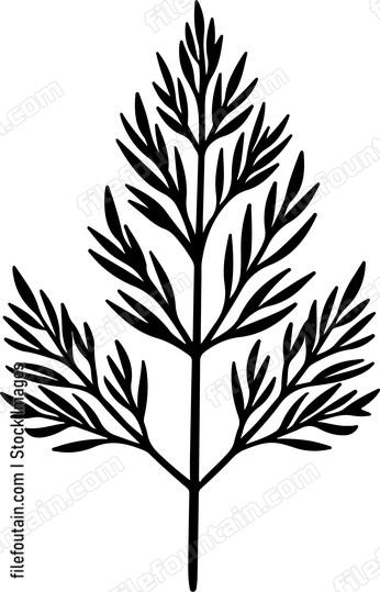 Dill Leaf