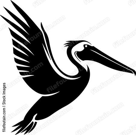 Diving Pelican
