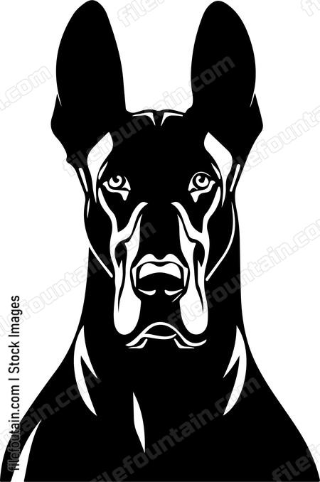 Doberman Dog Angry