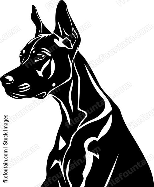 Doberman Pinscher