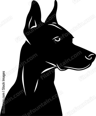 Doberman Pinscher