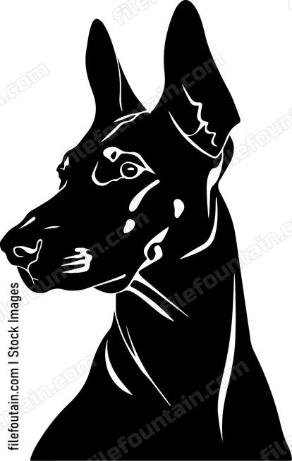 Doberman Pinscher