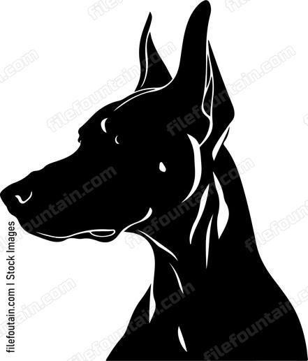 Doberman Pinscher