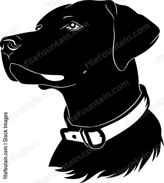 Dog Collar