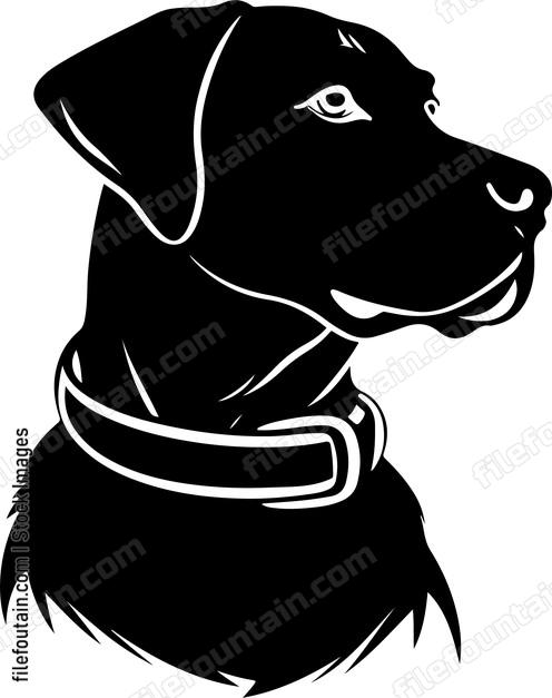 Dog Collar