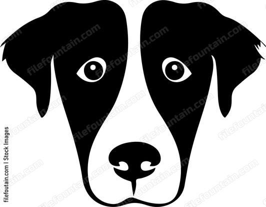 Dog Faces