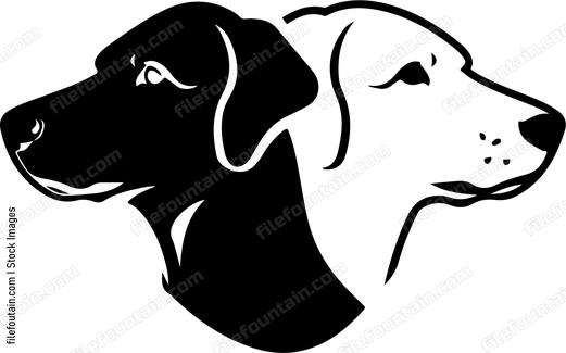 Dog Faces