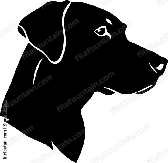 Dog Head Side View