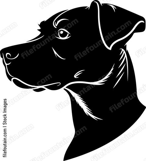 Dog Head Side View