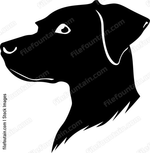 Dog Head Side View