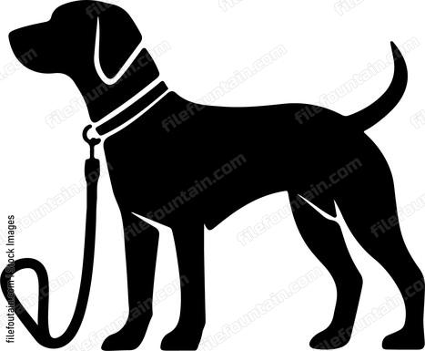 Dog Leash