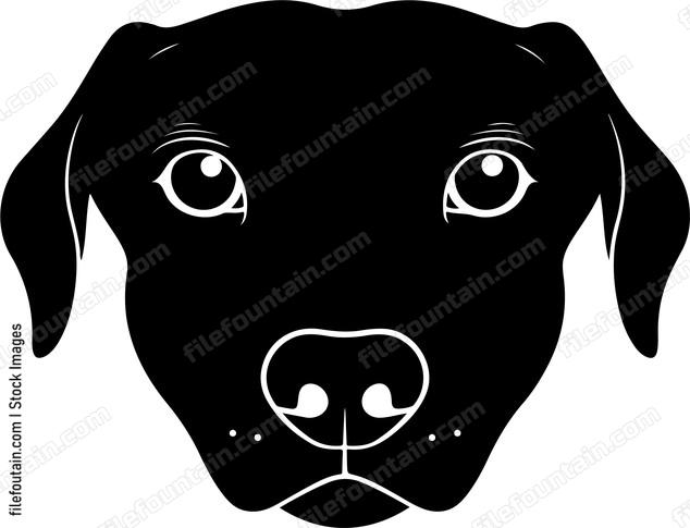 Dog Nose