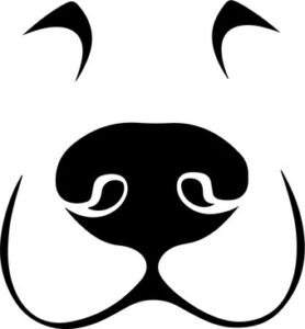 Dog Nose