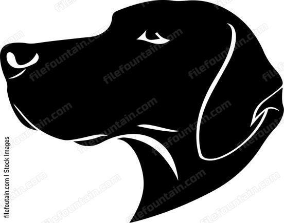 Dog Nose