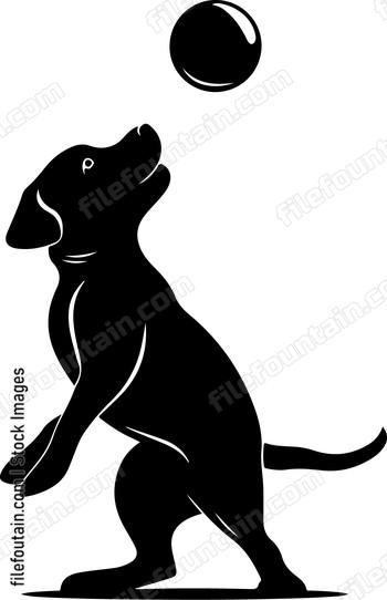 Dog Play Ball