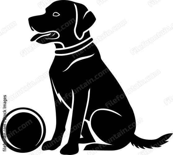 Dog Play Ball