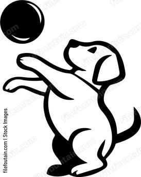 Dog Playing With Ball