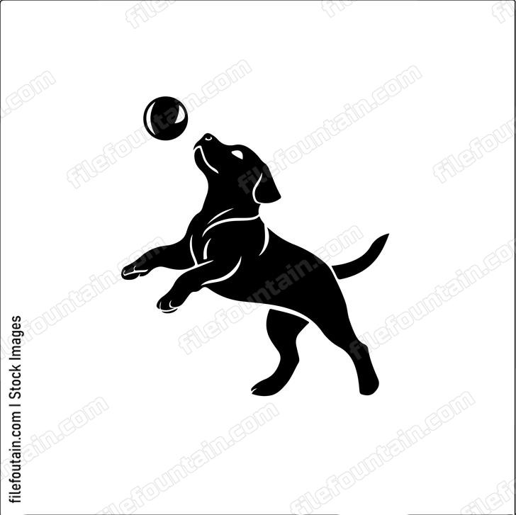 Dog Playing With Ball
