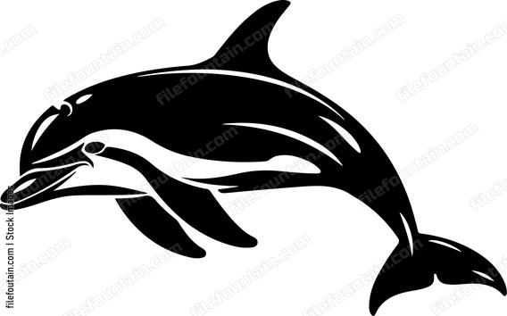 Dolphin