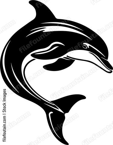 Dolphin