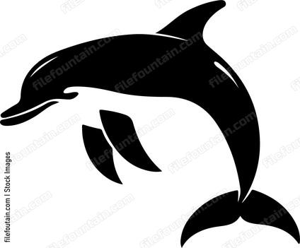 Dolphin