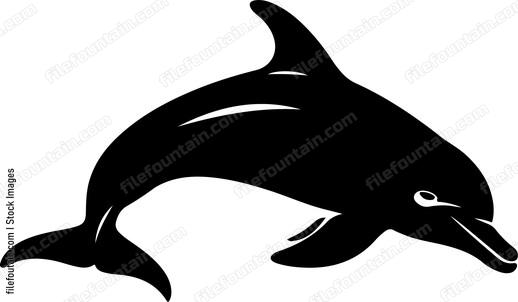 Dolphin