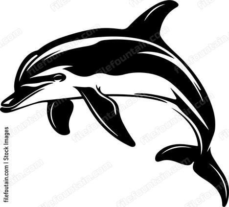 Dolphinspng