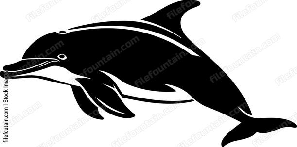 Dolphinspng